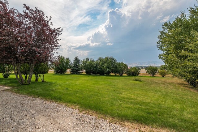 view of yard with a rural view