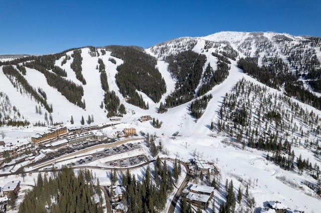 3898 Big Mountain Rd Unit 114, Whitefish, MT 59937 - view of mountain background