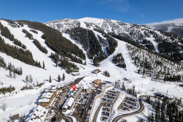 3898 Big Mountain Rd Unit 114, Whitefish, MT 59937 - mountain view