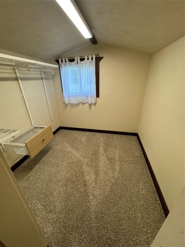 walk in closet featuring vaulted ceiling and carpet flooring