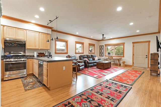 kitchen featuring appliances with stainless steel finishes, a peninsula, under cabinet range hood, light brown cabinets, and a sink