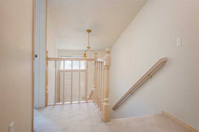 staircase with carpet flooring