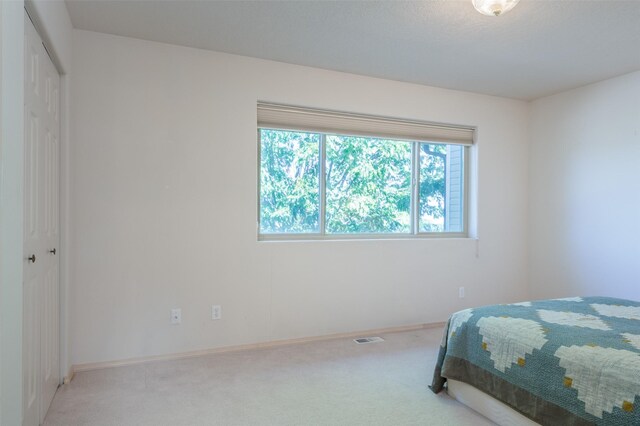 bedroom featuring a closet and carpet flooring