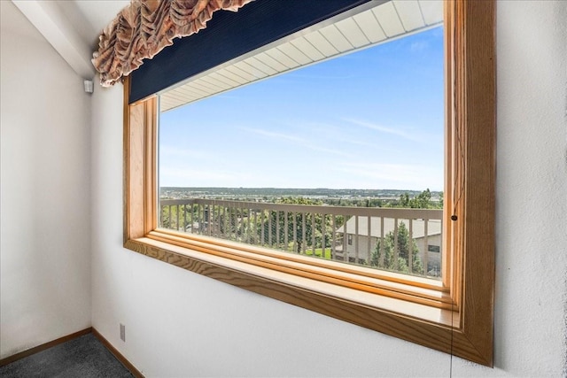 details featuring carpet and baseboards