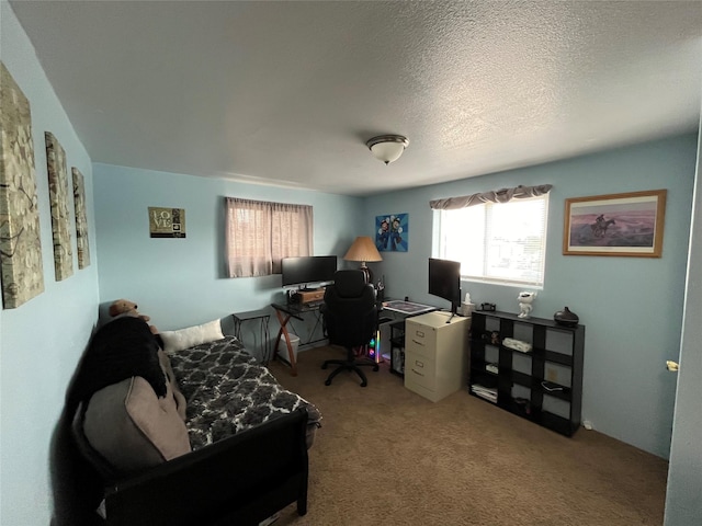 office space with a textured ceiling and carpet