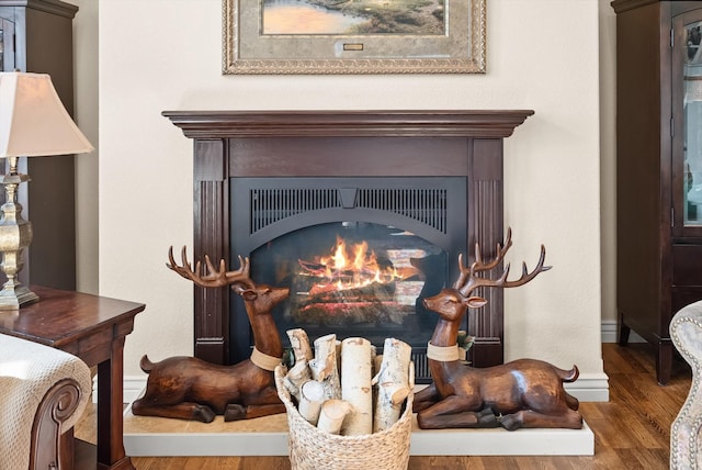 room details featuring hardwood / wood-style floors