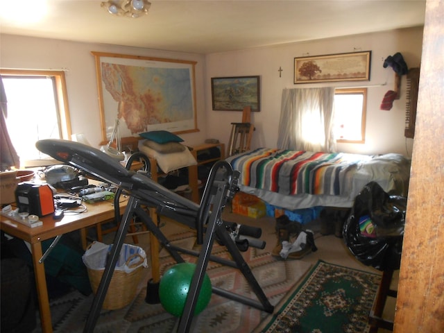 467 Cooper Ln, Hamilton, MT 59840 - bedroom featuring multiple windows