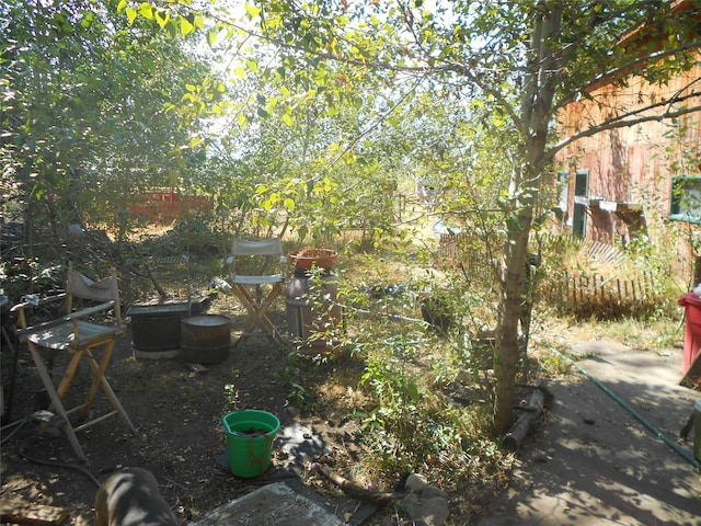 467 Cooper Ln, Hamilton, MT 59840 - view of yard