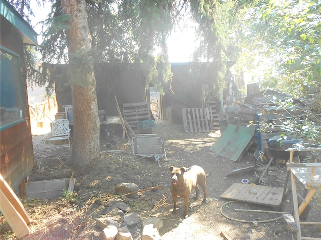 467 Cooper Ln, Hamilton, MT 59840 - view of yard