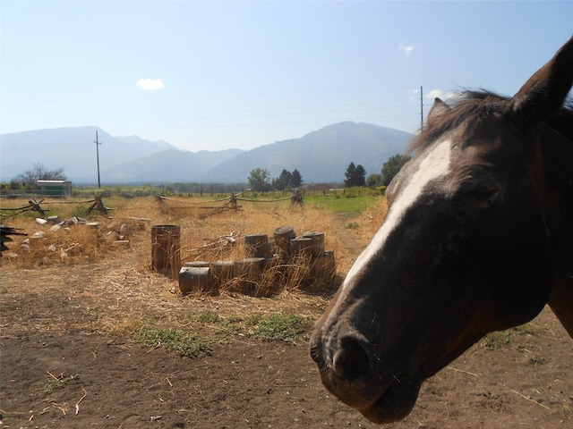 467 Cooper Ln, Hamilton, MT 59840 - view of mountain background with rural landscape