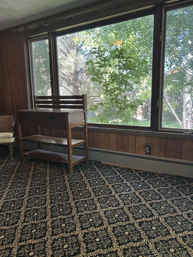 interior space featuring a textured ceiling, wood walls, and carpet flooring