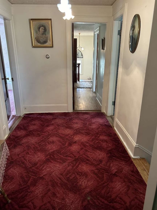 corridor with wood-type flooring