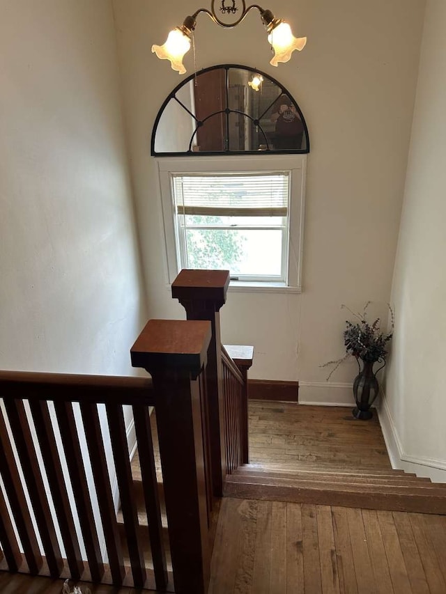 stairs with hardwood / wood-style flooring