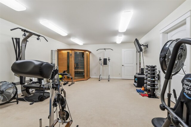 exercise area featuring light colored carpet