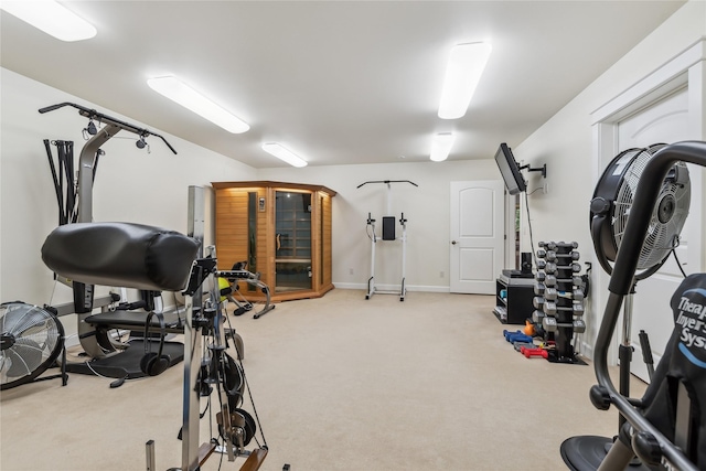 1550 Rolling Ridge Loop, Kalispell, MT 59901 - exercise area with carpet flooring