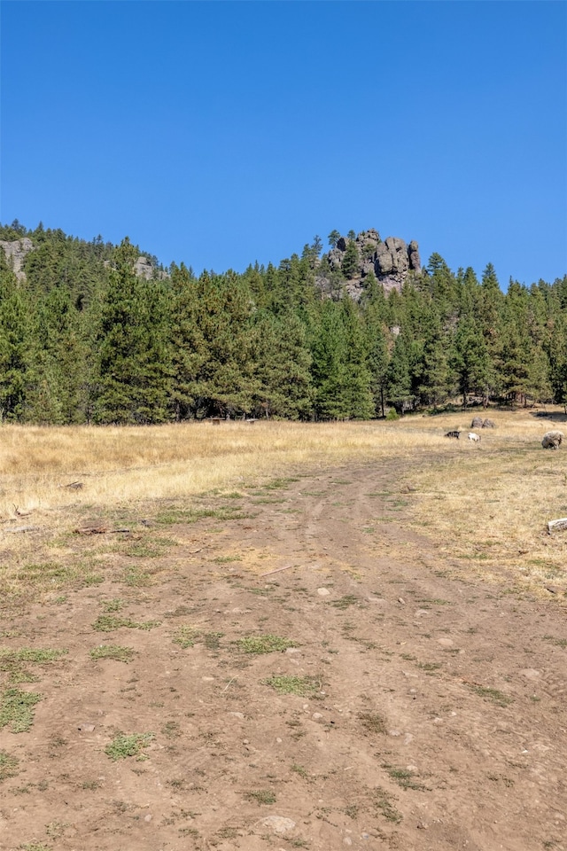 view of landscape with a rural view