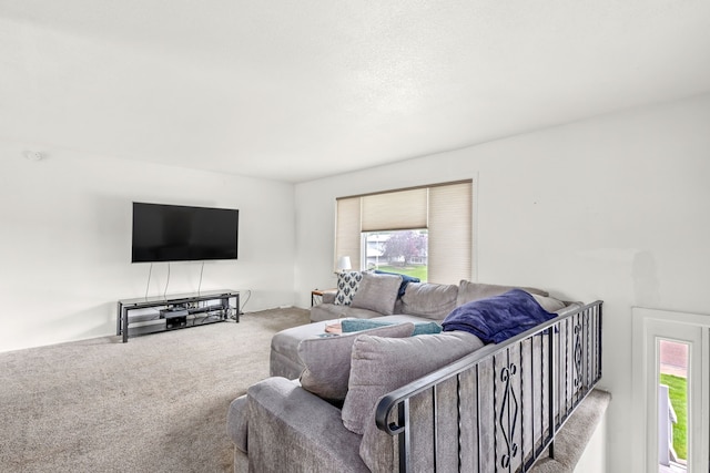 living room with a healthy amount of sunlight and carpet flooring