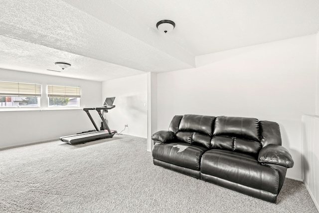 exercise area with carpet and a textured ceiling