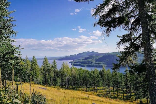 69 Eagle Creek Trl, Whitefish MT, 59937 land for sale