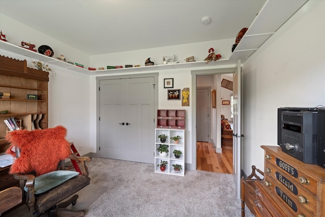 living area featuring light colored carpet