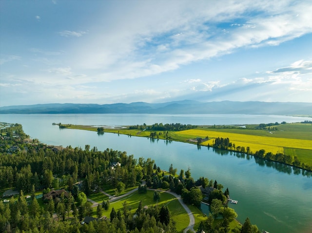 birds eye view of property featuring a water and mountain view