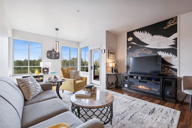 living area featuring wood finished floors and a glass covered fireplace