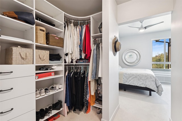 spacious closet featuring carpet flooring and a ceiling fan