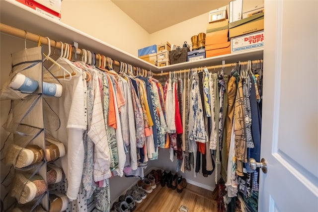 spacious closet featuring wood-type flooring