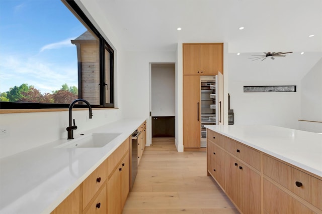 kitchen featuring wall oven, stainless steel dishwasher, ceiling fan, sink, and light hardwood / wood-style flooring