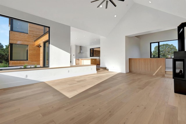 unfurnished living room featuring high vaulted ceiling and light hardwood / wood-style flooring