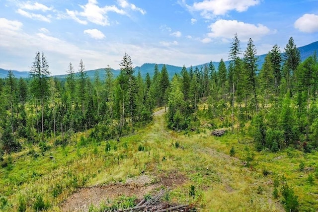 191 Stones Throw Ln, Columbia Falls, MT 59912