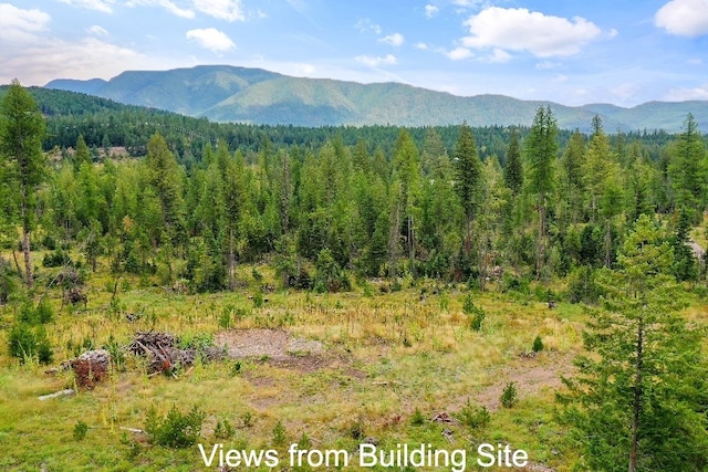 191 Stones Throw Ln, Columbia Falls, MT 59912