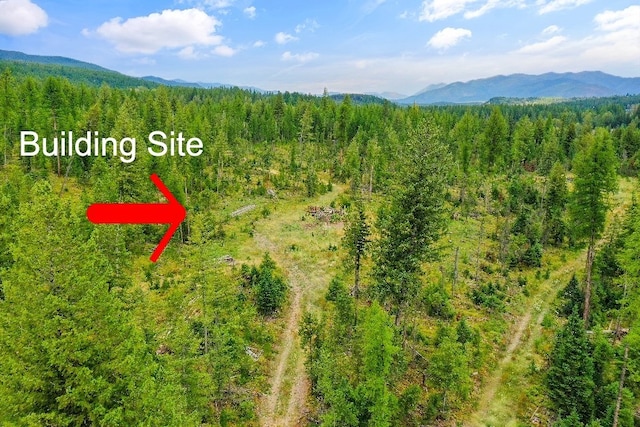 191 Stones Throw Ln, Columbia Falls, MT 59912