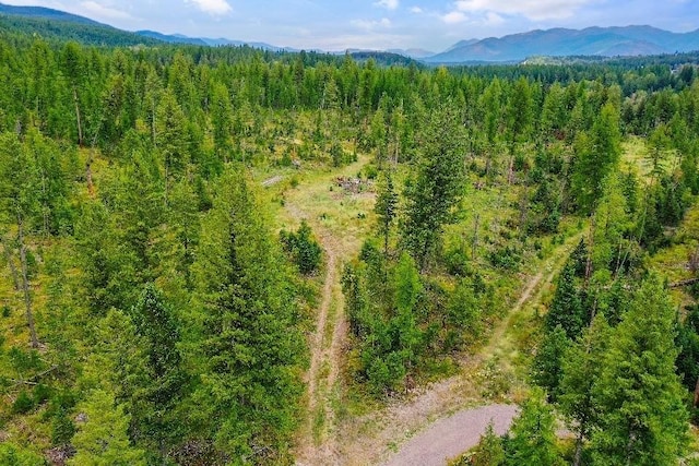 191 Stones Throw Ln, Columbia Falls, MT 59912