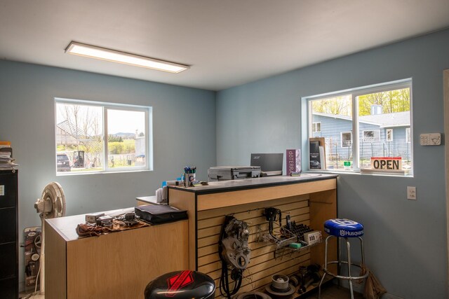 office featuring healthy amount of natural light