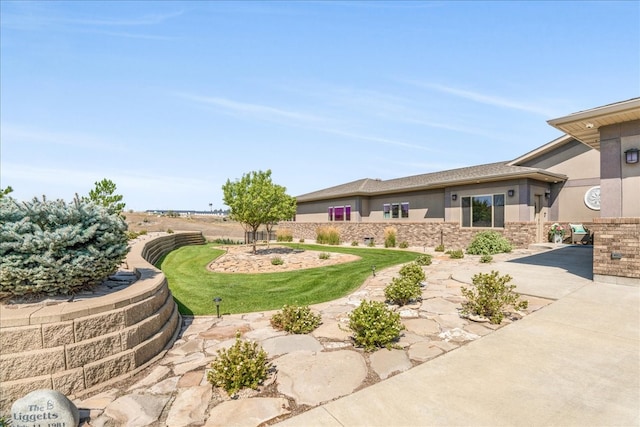 view of yard with a patio area