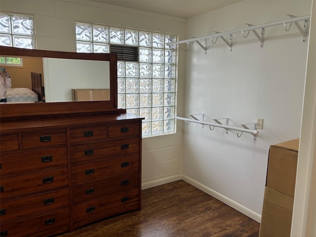 spacious closet with dark wood-type flooring