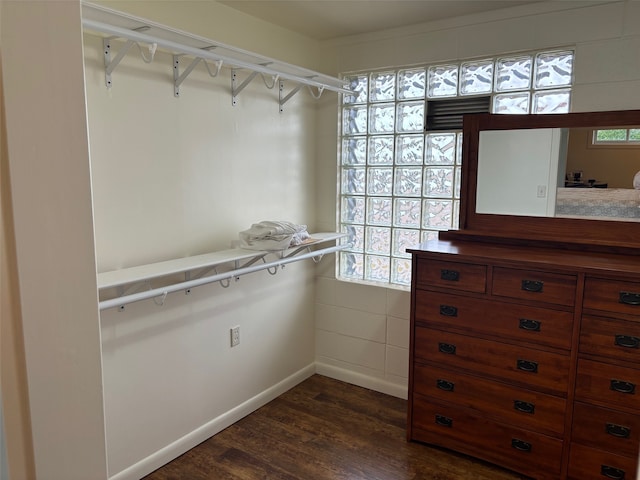 spacious closet with dark wood-type flooring