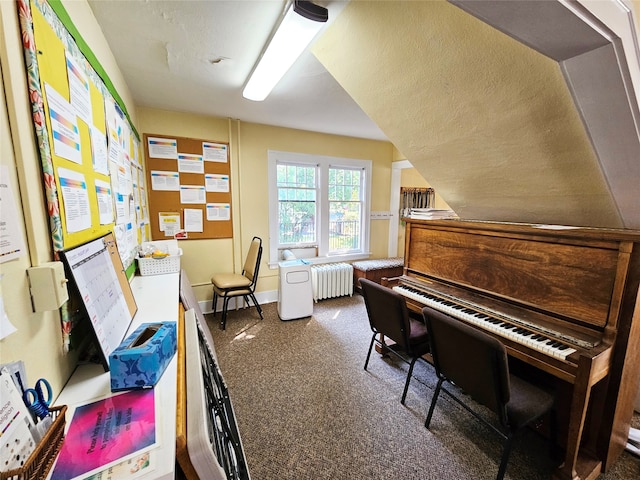 miscellaneous room featuring radiator heating unit, carpet floors, and a textured ceiling