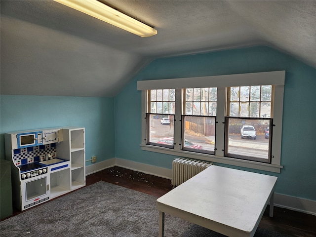 office featuring radiator heating unit, vaulted ceiling, and plenty of natural light