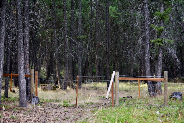 view of local wilderness