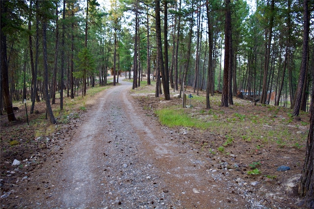 view of road