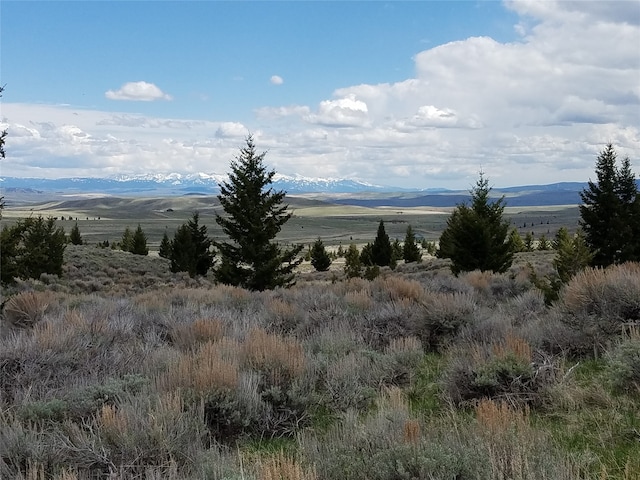 118 Panorama Dr, White Sulphur Springs MT, 59645 land for sale