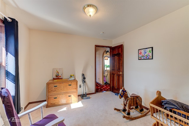 interior space with carpet floors