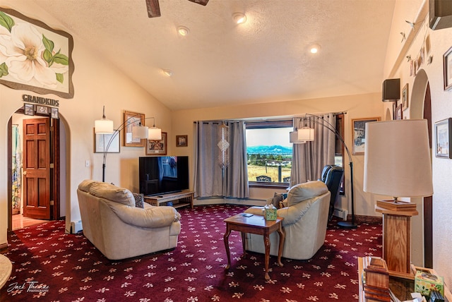 living room with a textured ceiling, vaulted ceiling, and carpet floors