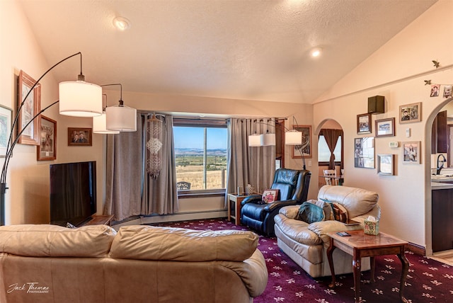 living room featuring a textured ceiling, a baseboard radiator, vaulted ceiling, and carpet