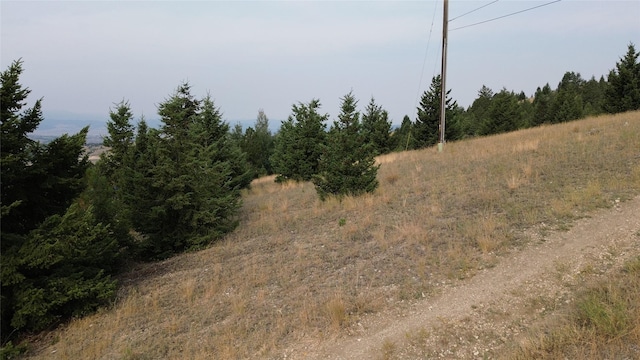 TBD Caledonia St, Butte, MT 59701
