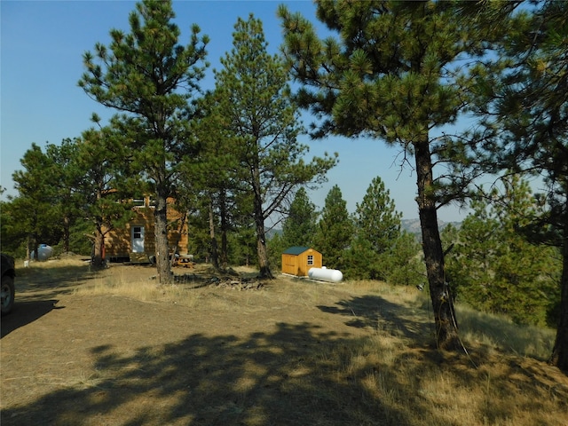 view of yard with a storage shed