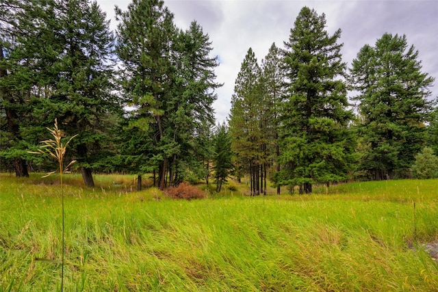 510 Johnson Ln, Superior, MT 59872 - view of nature