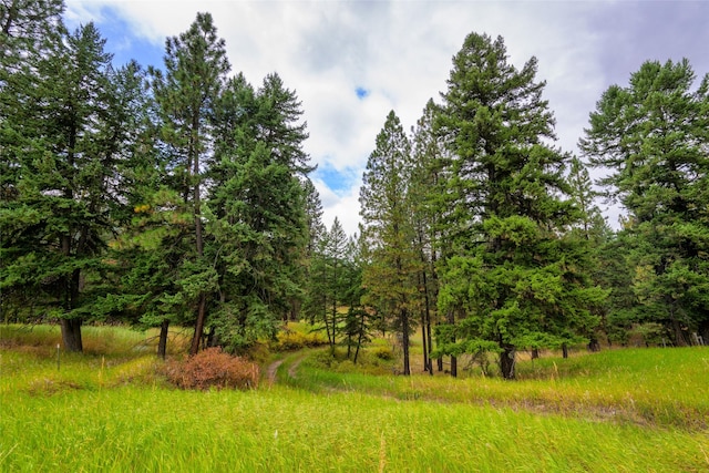 510 Johnson Ln, Superior, MT 59872 - view of local wilderness